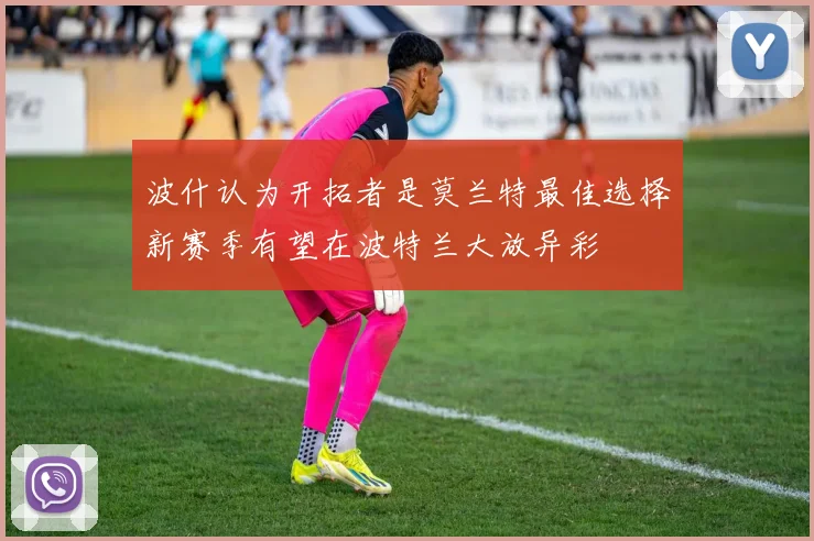 波什认为开拓者是莫兰特最佳选择新赛季有望在波特兰大放异彩